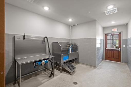 Dog Wash at The Dorset, Kansas City, Missouri