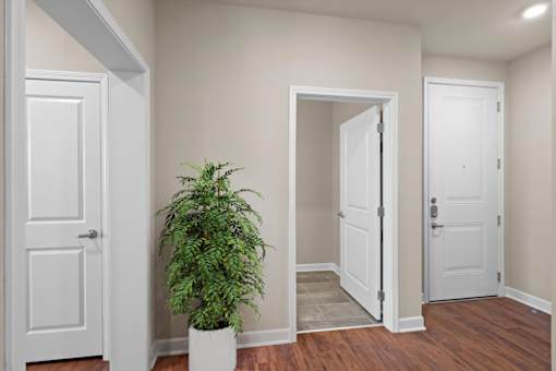 a room with two doors and a plant in the corner at The Dorset, Kansas City, MO