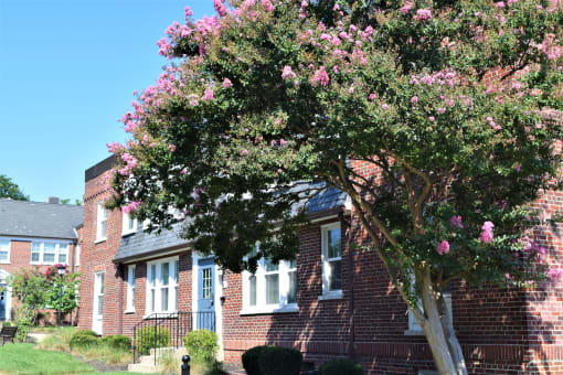Image of the Exterior of Colonial Village West | Affordable Arlington Apartments