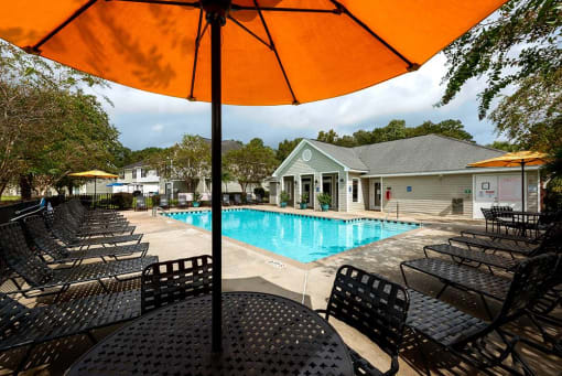 Sparkling Swimming Pool