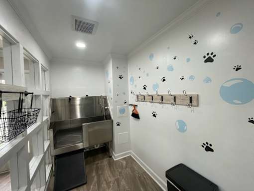 Pet Spa at our pet friendly community in Newport News, VA