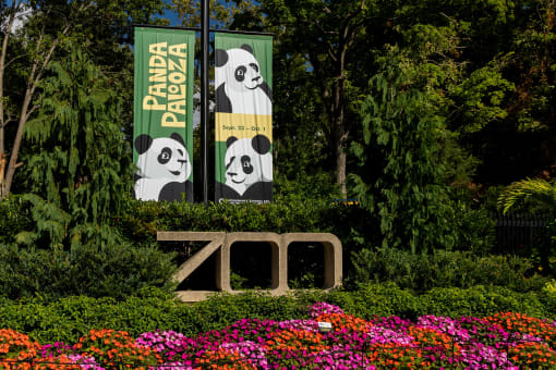 a sign for the zoo in front of some flowers