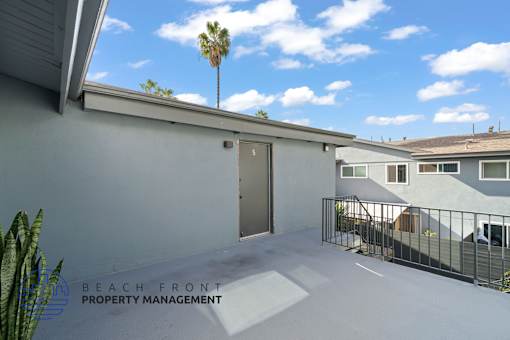 A sunny day at the beachfront property with a palm tree in the background.