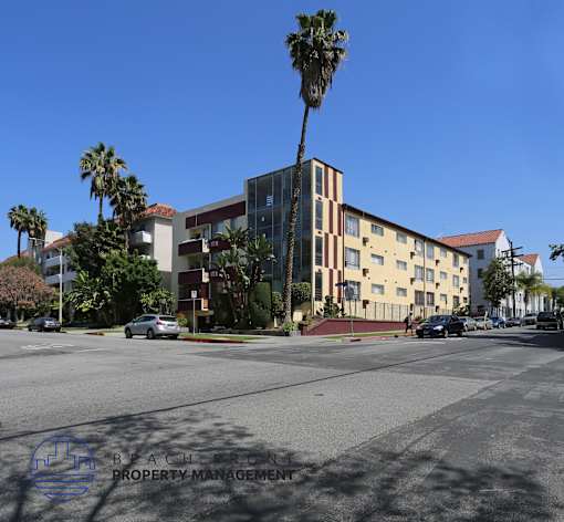 A street view of a multi-story building with a palm tree in front.