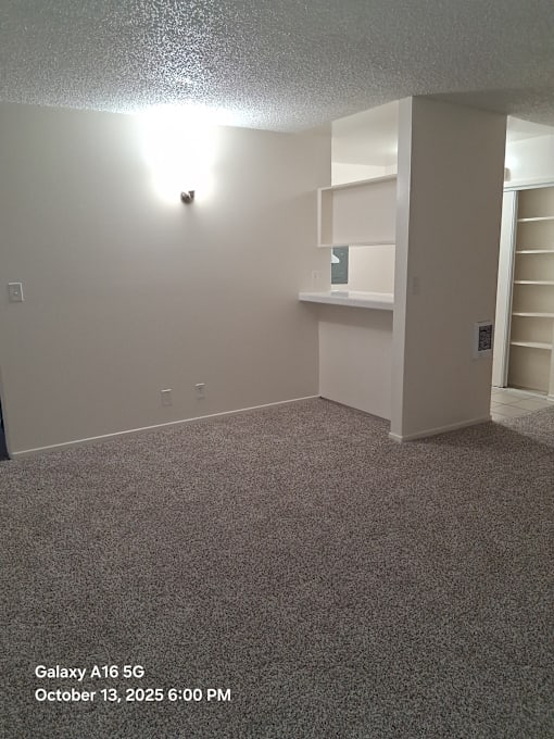 A room with a carpeted floor and a wall-mounted shelf.