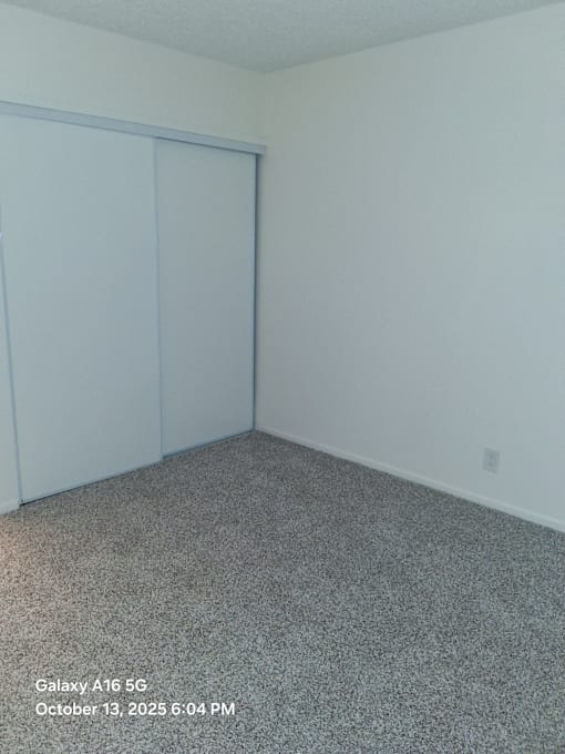 A room with a grey carpet and a white wall.