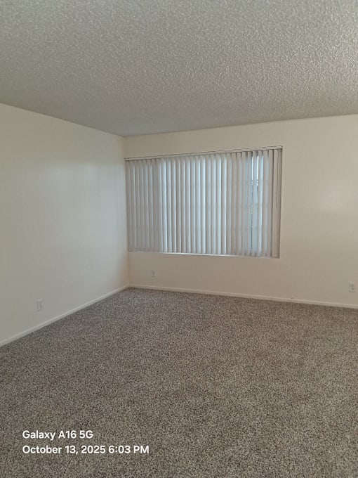 A room with a carpeted floor and a window with blinds.