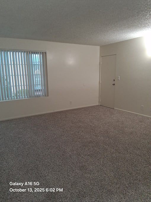 A room with a carpeted floor, a window with blinds, and a door.