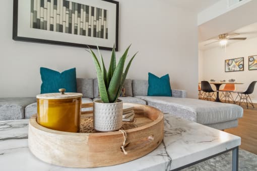 a living room with couches and a coffee table with a plant
