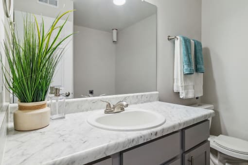 a bathroom with a sink and a mirror and a plant