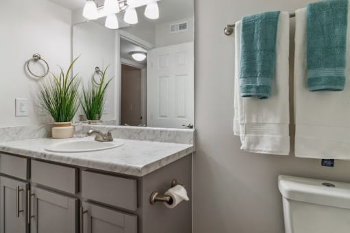 a bathroom with a sink and a mirror and a toilet