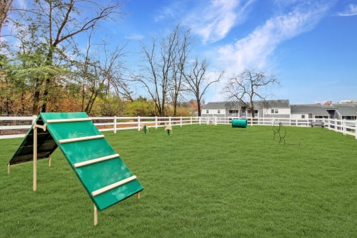 the backyard has a swing set on the grass