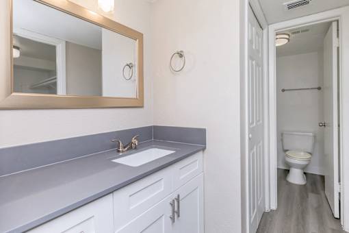 A bathroom with a sink, mirror, and toilet.