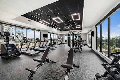 A gym with treadmills, weights, and exercise machines.