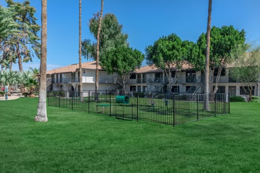 our apartments have a fenced in yard with grass and palm trees
