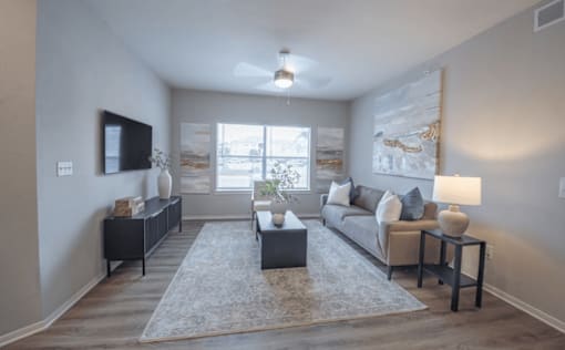 A living room with a grey sofa, a grey rug, a black coffee table, and a flat screen TV mounted on the wall.