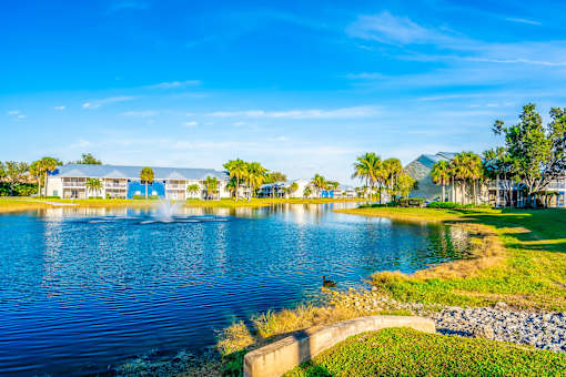 A serene lake with a fountain in the middle, surrounded by palm trees and buildings.