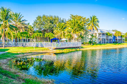 A serene lake surrounded by lush greenery and palm trees under a clear blue sky.