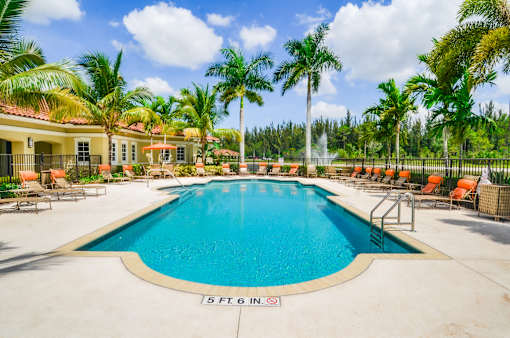 A large swimming pool surrounded by palm trees and lounge chairs.