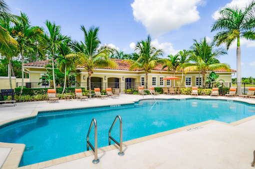 A pool surrounded by palm trees and lounge chairs.