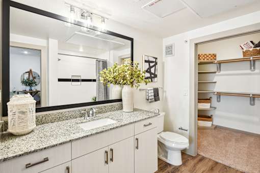 A bathroom with a sink, mirror, and toilet.