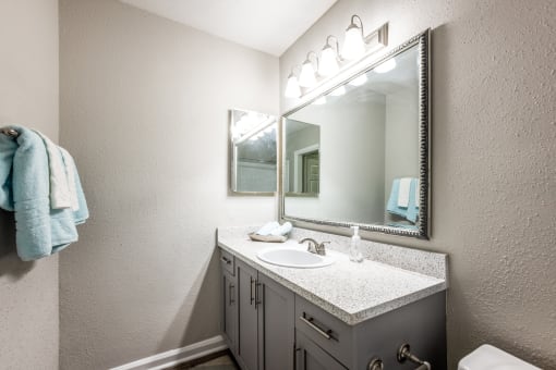 a bathroom with a sink and a mirror