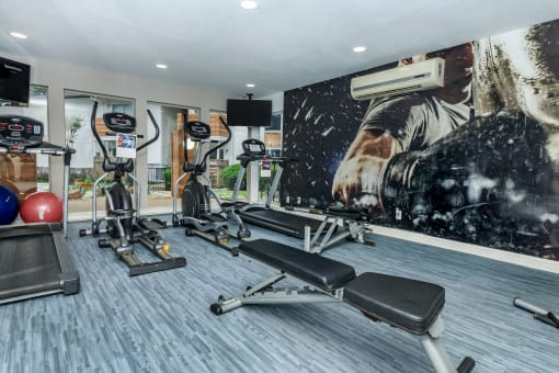 a gym with cardio equipment and a large painting of a man on the wall