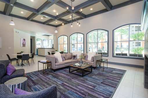 A living room with a purple rug and a grey couch.