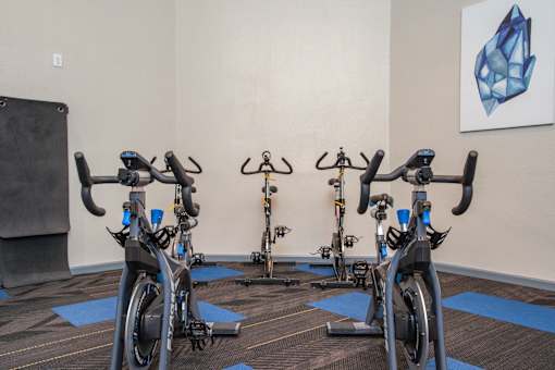 A room with exercise bikes and a painting on the wall.