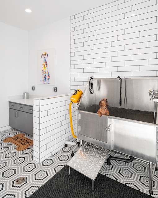A dog is sitting in a stainless steel sink in a bathroom.