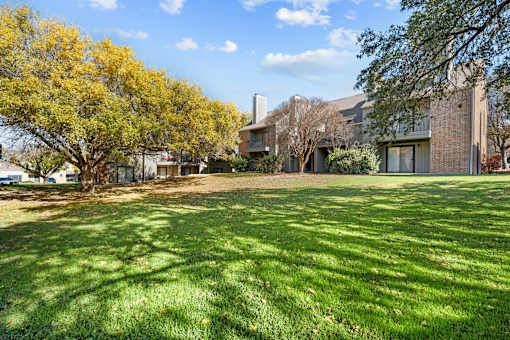 A tree with yellow leaves is in front of a building.