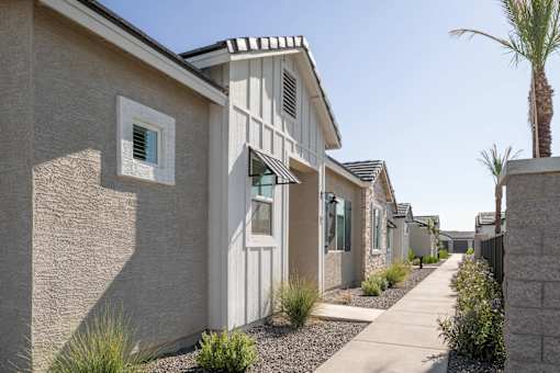 A row of houses with a palm tree in the front yard.