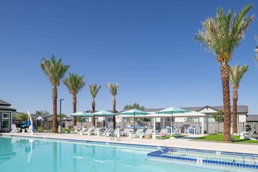 a swimming pool with palm trees and lounge chairs around it