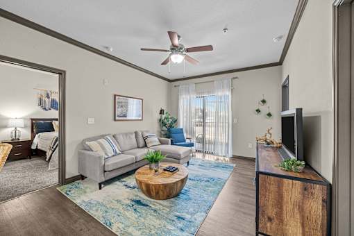A living room with a grey couch and a blue rug.