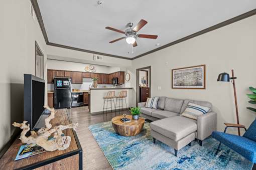A living room with a grey couch and a blue rug.