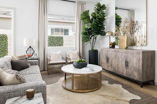 A living room with a grey couch, a round coffee table, and a large plant.