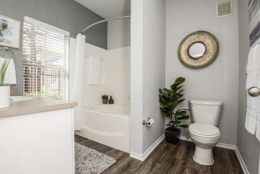 a bathroom with a toilet and a bath tub