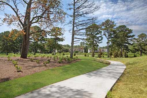 A pathway in a park with trees on either side.