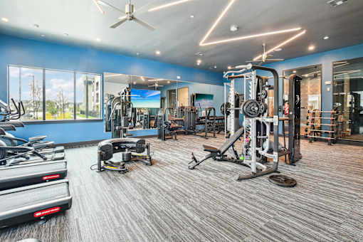 A spacious gym with a variety of equipment including treadmills, weights, and a bench press.