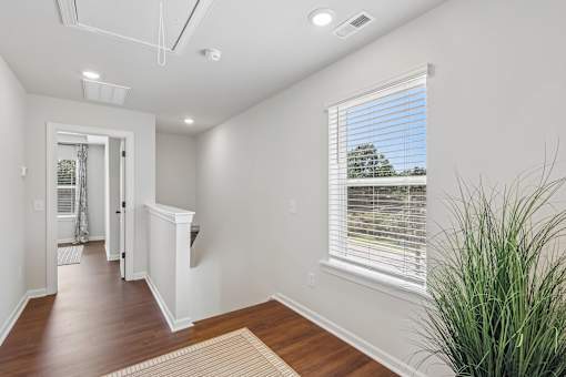 A room with a window and a plant.