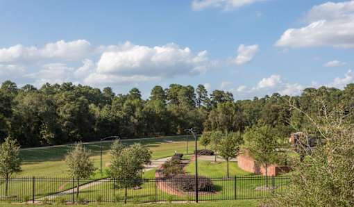 local tree tops near by our facility