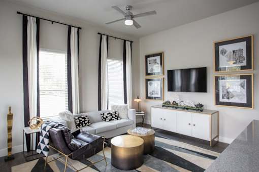 television living room view