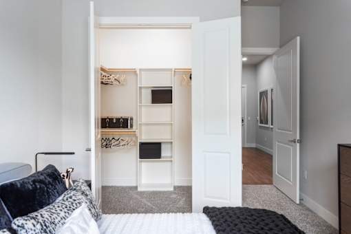 shelving unites for closet organization