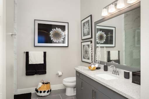 beautiful bathroom with picture frame accents