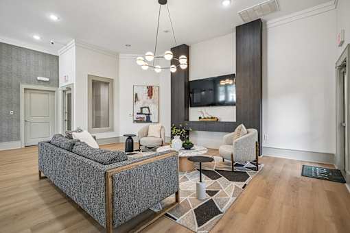 A modern living room with a grey sofa and a black and white rug.