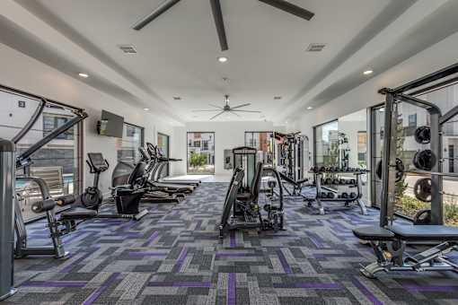 A gym with a variety of equipment including treadmills, weights, and a bench press.