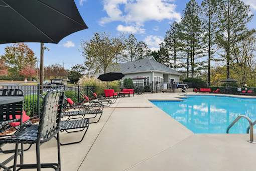 A pool area with chairs and umbrellas is surrounded by trees.