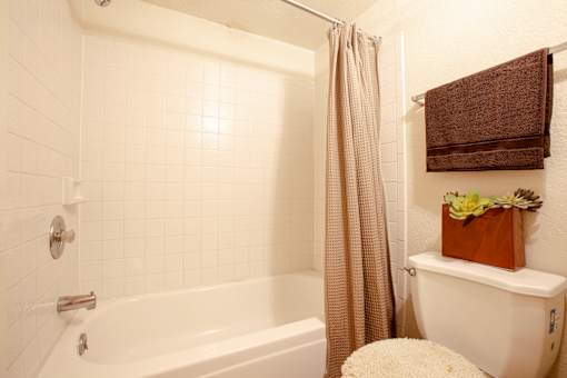 a bathroom with a toilet and a bath tub