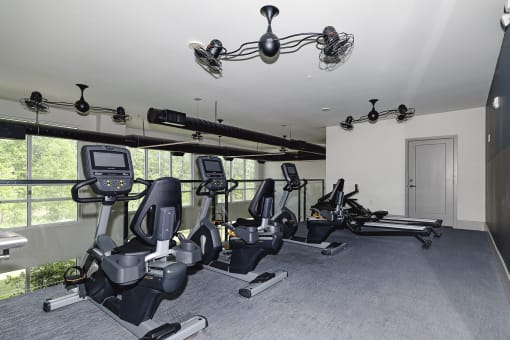Fitness studio with ample cardio equipment