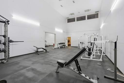 A gym with a bench, weights, and a barbell.
